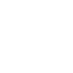 Bleu Holdings Logo Design